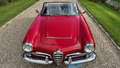 Alfa Romeo Giulia spider 1600 Rojo - thumbnail 36