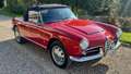 Alfa Romeo Giulia spider 1600 Rojo - thumbnail 17