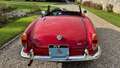 Alfa Romeo Giulia spider 1600 Rojo - thumbnail 27