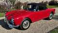 Alfa Romeo Giulia spider 1600 Rojo - thumbnail 3