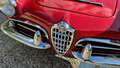Alfa Romeo Giulia spider 1600 Rojo - thumbnail 33