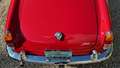 Alfa Romeo Giulia spider 1600 Rojo - thumbnail 21
