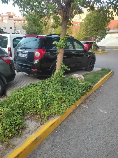 Chevrolet Captiva 2.0 VCDi LTX 2009