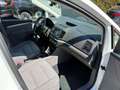 SEAT Alhambra Business 2,0 TDI 7 SITZE Weiß - thumbnail 8