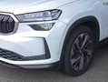 Skoda Kodiaq Selection 2,0l TDI 4x4DSG *KAM, Matrix LED* Weiß - thumbnail 19