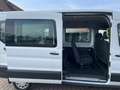 Ford Transit L3 H2 ATM bei Ford 89 tkm, 9-Sitzer, ACC Weiß - thumbnail 8
