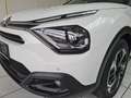 Citroen C4 BlueHDI 130 S&S Shine Edition EAT8 Aut. Weiß - thumbnail 2