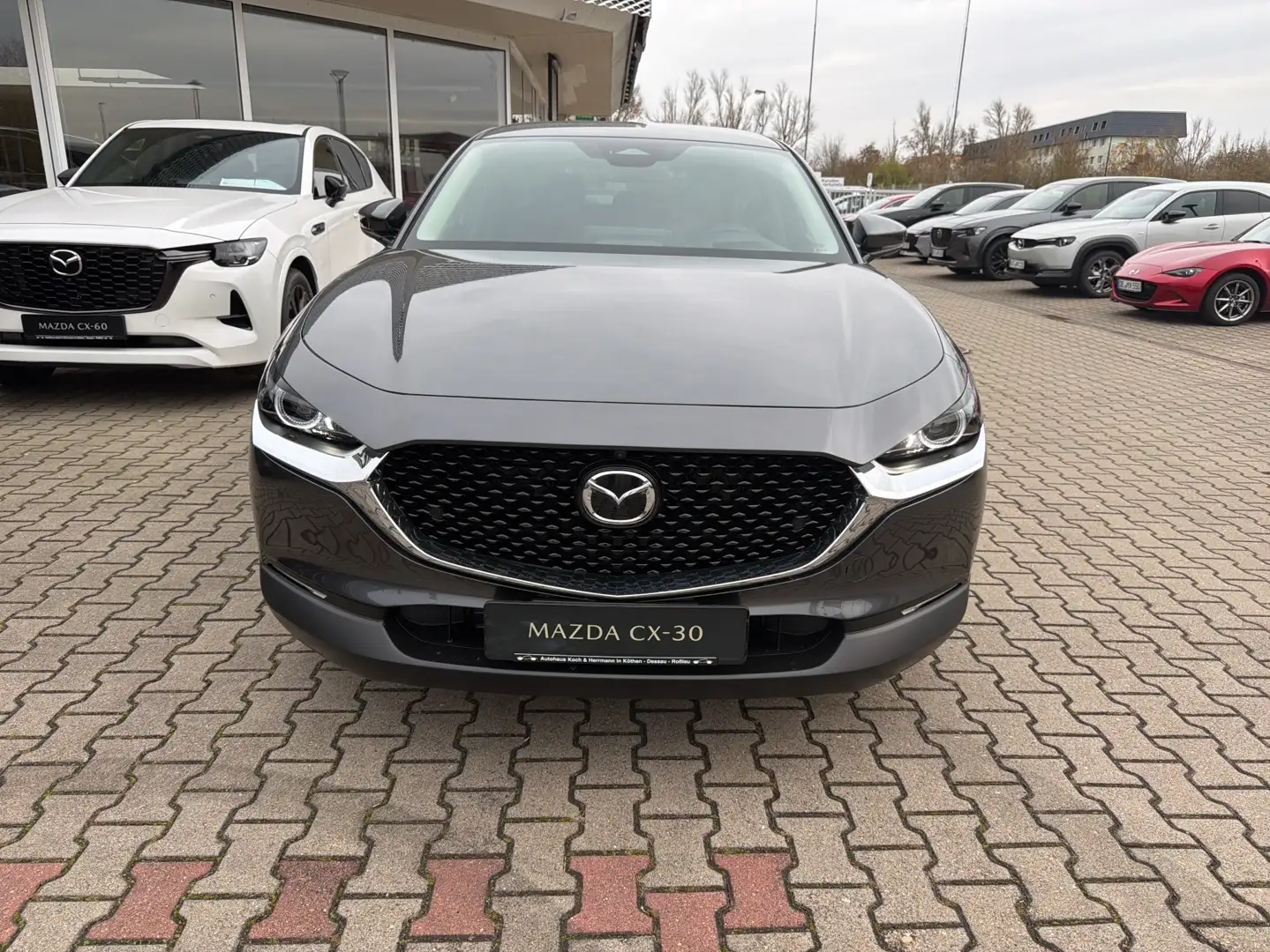 Mazda CX-30 2.5L e-SKYACTIV G 140ps Grau - 2