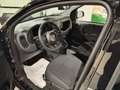 Fiat Panda Pandina III 2024 1.0 firefly s PROMO FREEDOM Nero - thumbnail 10
