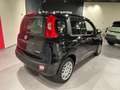Fiat Panda Pandina III 2024 1.0 firefly s PROMO FREEDOM Nero - thumbnail 5