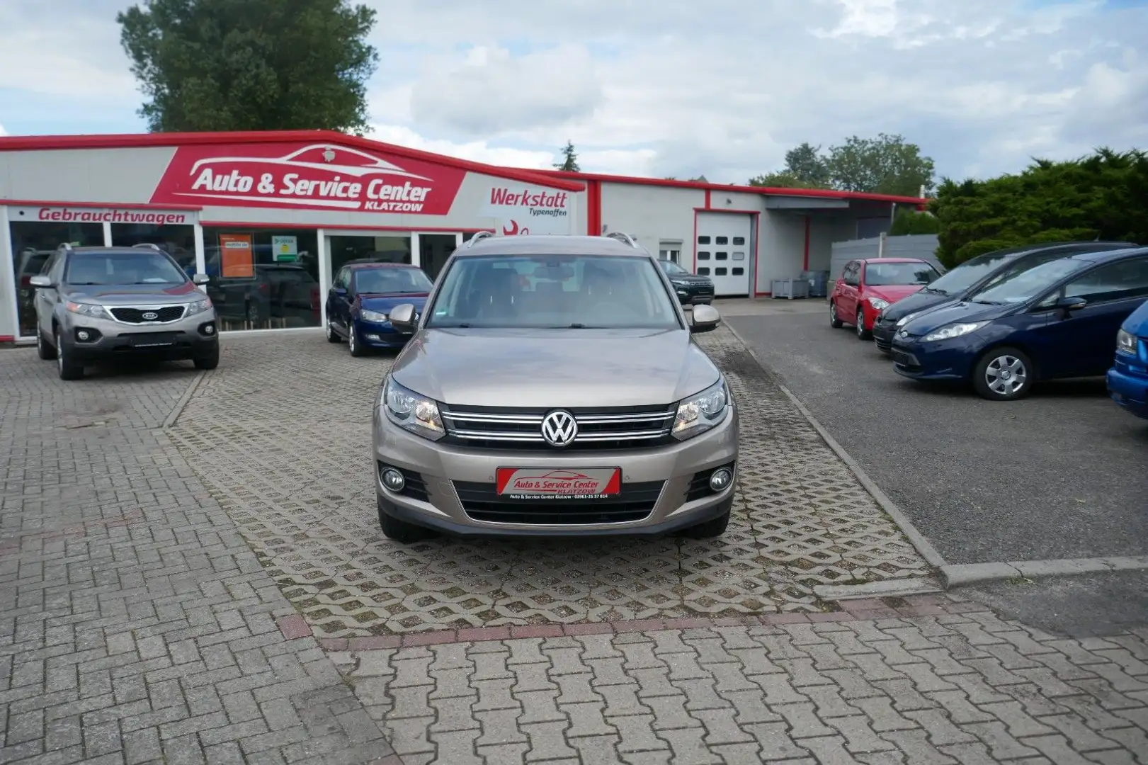 Volkswagen Tiguan 2.0 TDI DSG 4MOTION LIFE SHZ PDC KLIMA Marrón - 2