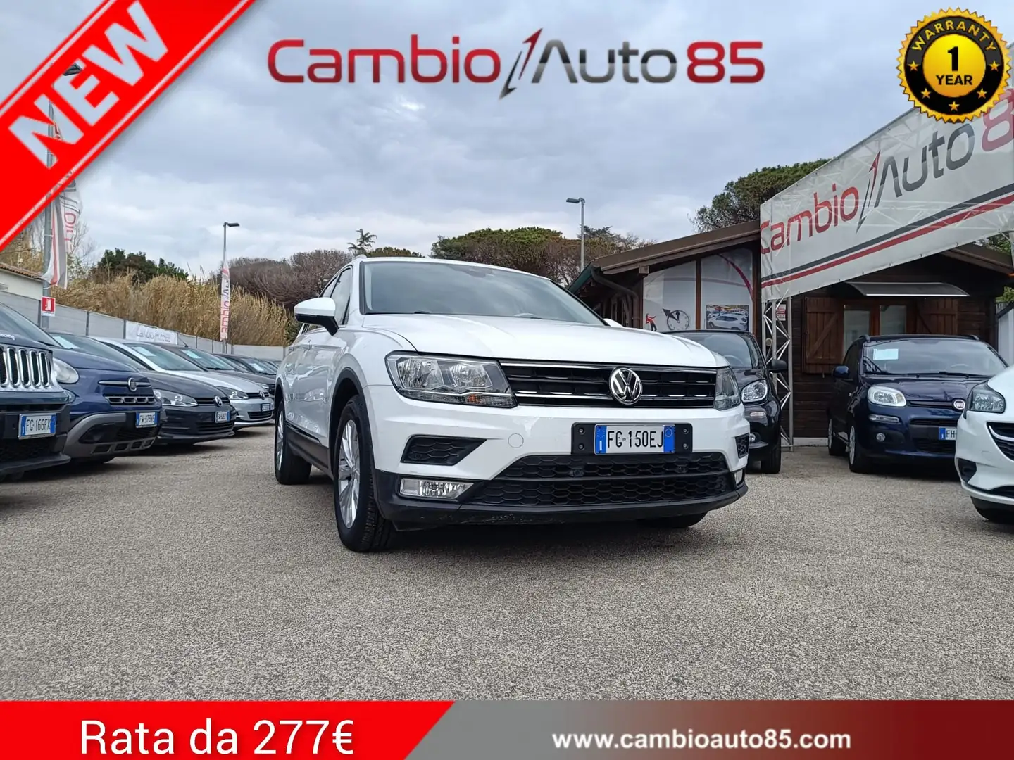 Volkswagen Tiguan Tiguan II 2016 1.6 tdi Business 115cv Bianco - 1