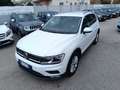 Volkswagen Tiguan Tiguan II 2016 1.6 tdi Business 115cv Bianco - thumbnail 4
