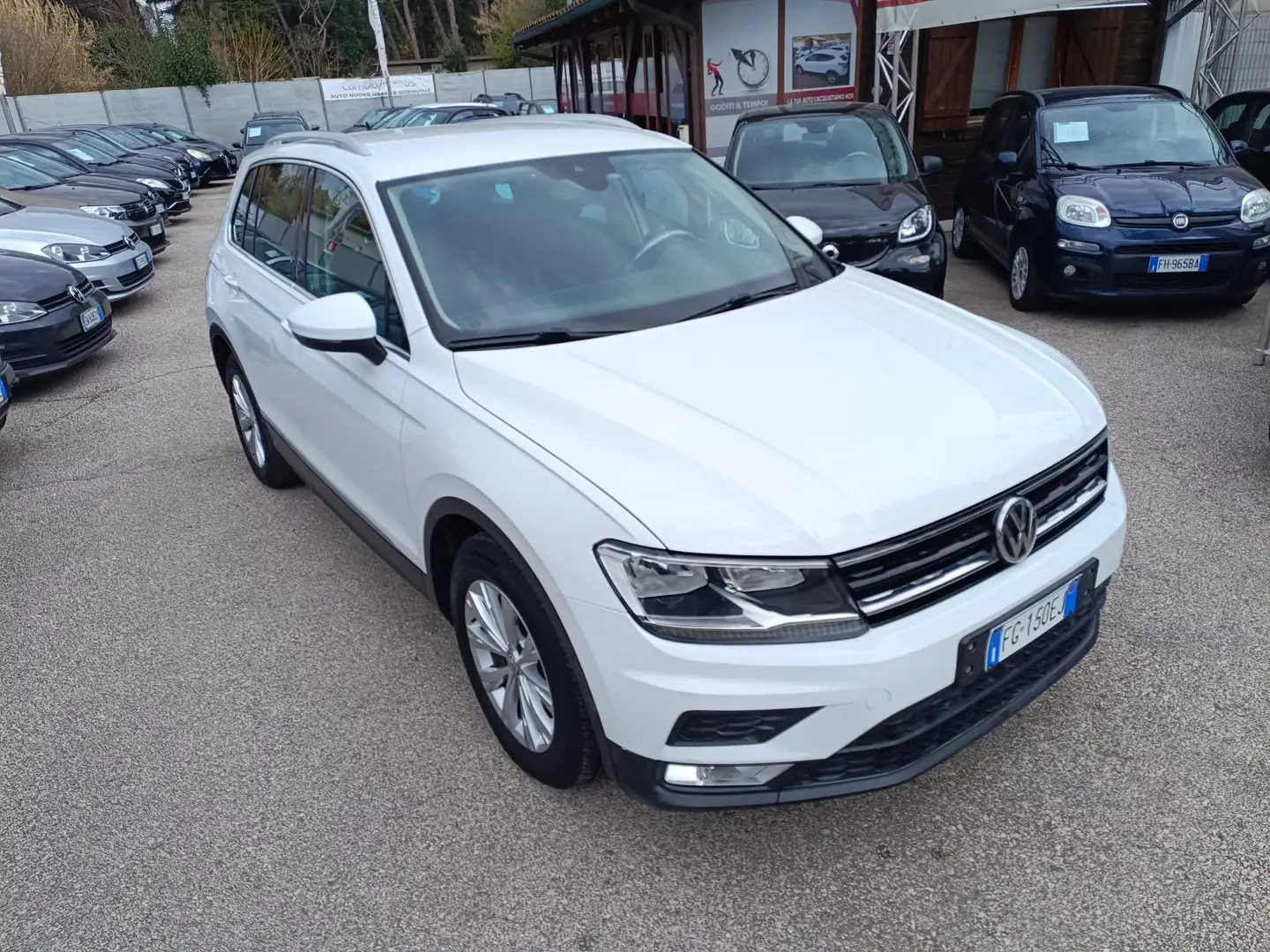 Volkswagen Tiguan Tiguan II 2016 1.6 tdi Business 115cv Bianco - 2