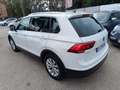 Volkswagen Tiguan Tiguan II 2016 1.6 tdi Business 115cv Bianco - thumbnail 6