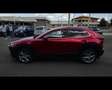 Mazda CX-30 2.0 M-HYBRID EXCLUSIVE AWD 150CV 6MT Rojo - thumbnail 5