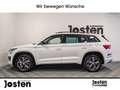 Skoda Kodiaq Sportline 2.0 TSI DSG 4X4 AHK CarPlay Weiß - thumbnail 4