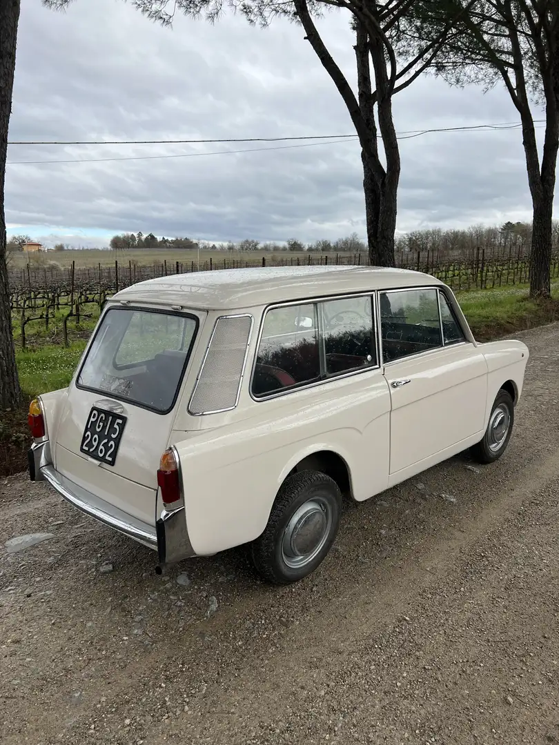 Autobianchi bianchina panoramica - 2