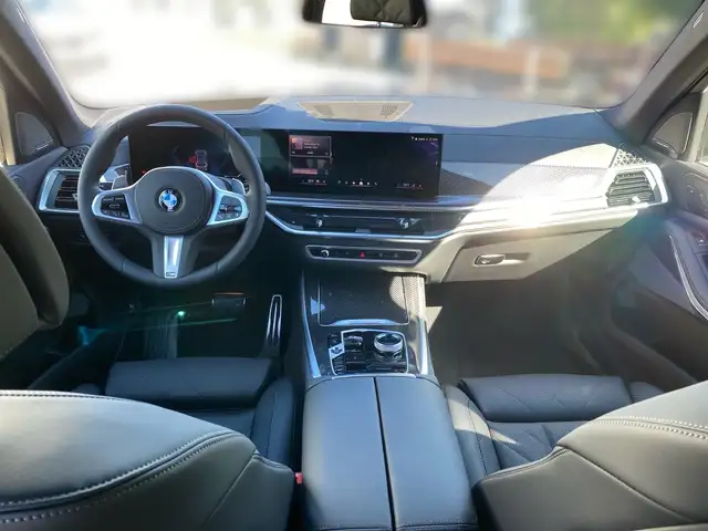 BMW X5 view 10