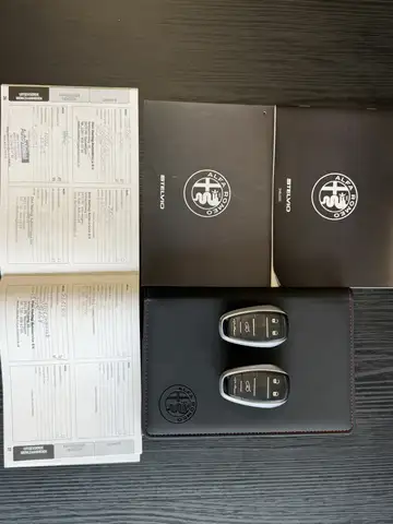 Alfa Romeo Stelvio view 12