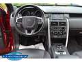 Land Rover Discovery Sport SE AWD 2.0 TD4 EU6d-T,Navi,Autom. Rojo - thumbnail 15