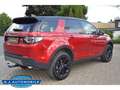 Land Rover Discovery Sport SE AWD 2.0 TD4 EU6d-T,Navi,Autom. Rojo - thumbnail 6
