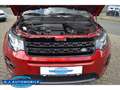 Land Rover Discovery Sport SE AWD 2.0 TD4 EU6d-T,Navi,Autom. Rojo - thumbnail 19