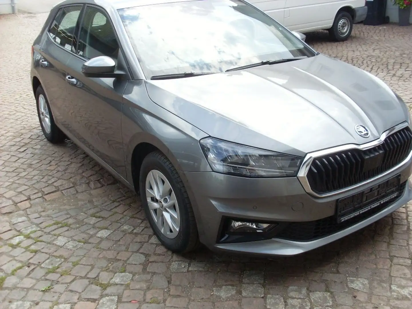 Skoda Fabia Selection Grigio - 2