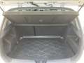 Kia Ceed / cee'd cee'd 1,0 TGDI ISG Silber Weiß - thumbnail 9