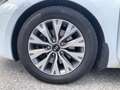 Kia Ceed / cee'd cee'd 1,0 TGDI ISG Silber Weiß - thumbnail 18