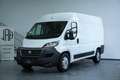 Fiat Ducato Hochr.-Kasten 35 140 L2H2 *AUTOMATIK*NAV* Blanc - thumbnail 1