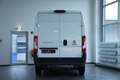 Fiat Ducato Hochr.-Kasten 35 140 L2H2 *AUTOMATIK*NAV* Blanc - thumbnail 8