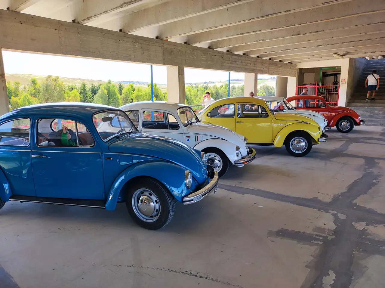Volkswagen Maggiolino, foto 3