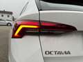 Skoda Octavia Combi 1,0 TSI Ambition Weiß - thumbnail 37
