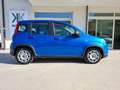 Fiat Panda Panda III 2021 1.0 firefly hybrid s Azul - thumbnail 16