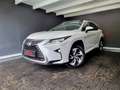 Lexus RX 450h LUXURY LINE, AWD, HEAD UP, PANO, ACC, 360°, LED bijela - thumbnail 1