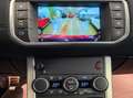Land Rover Range Rover Evoque 5p 2.0 td4 SE Dynamic 150cv auto Rouge - thumbnail 11