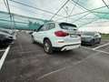 BMW X3 X3 G01 2017 sdrive18d Business -FY701KR Bianco - thumbnail 4