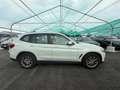 BMW X3 X3 G01 2017 sdrive18d Business -FY701KR Bianco - thumbnail 8