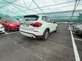 BMW X3 X3 G01 2017 sdrive18d Business -FY701KR Bianco - thumbnail 6