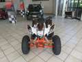 Others QUAD - KAYO  180cc 4T. Racing STORM AUT. Red - thumbnail 1