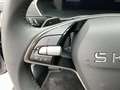 Skoda Octavia Selection TDI DSG Grau - thumbnail 20