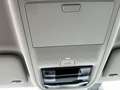 Skoda Octavia Selection TDI DSG Grau - thumbnail 23