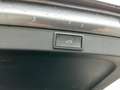 Skoda Octavia Selection TDI DSG Grau - thumbnail 13