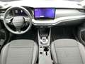 Skoda Octavia Selection TDI DSG Grau - thumbnail 10