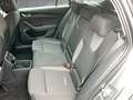 Skoda Octavia Selection TDI DSG Grau - thumbnail 11