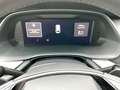Skoda Octavia Selection TDI DSG Grau - thumbnail 9