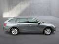 Skoda Octavia Selection TDI DSG Grau - thumbnail 5
