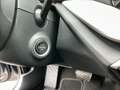 Skoda Octavia Selection TDI DSG Grau - thumbnail 24