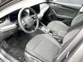 Skoda Octavia Selection TDI DSG Grau - thumbnail 8
